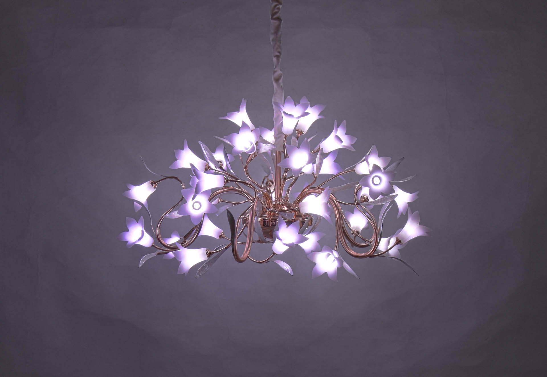 MDK88011-31,MDK88011-31,MDK88011-31